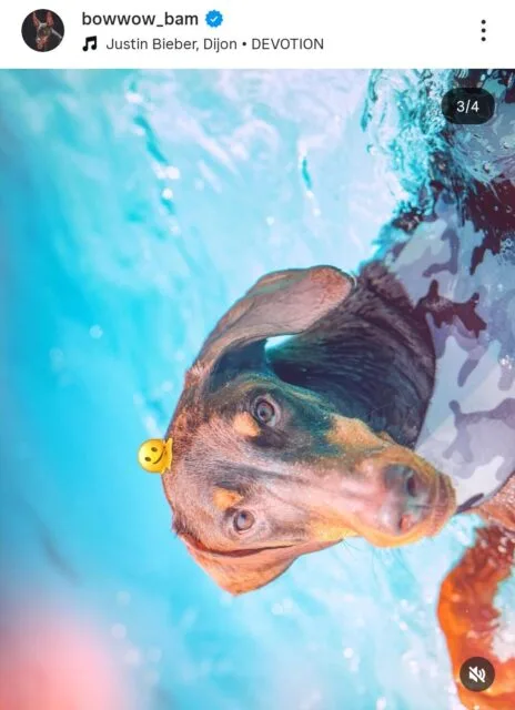 GyKRxxXaAAA9hGd-464x640